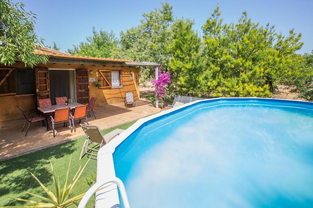 Violí in Buger, Spain