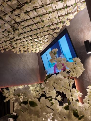 DeLuxe Jacuzzi & Baldaquin Studio — 4-Star Luxury Hotel in Bucharest, Romania