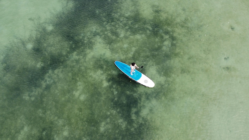 פעילויות וכושר