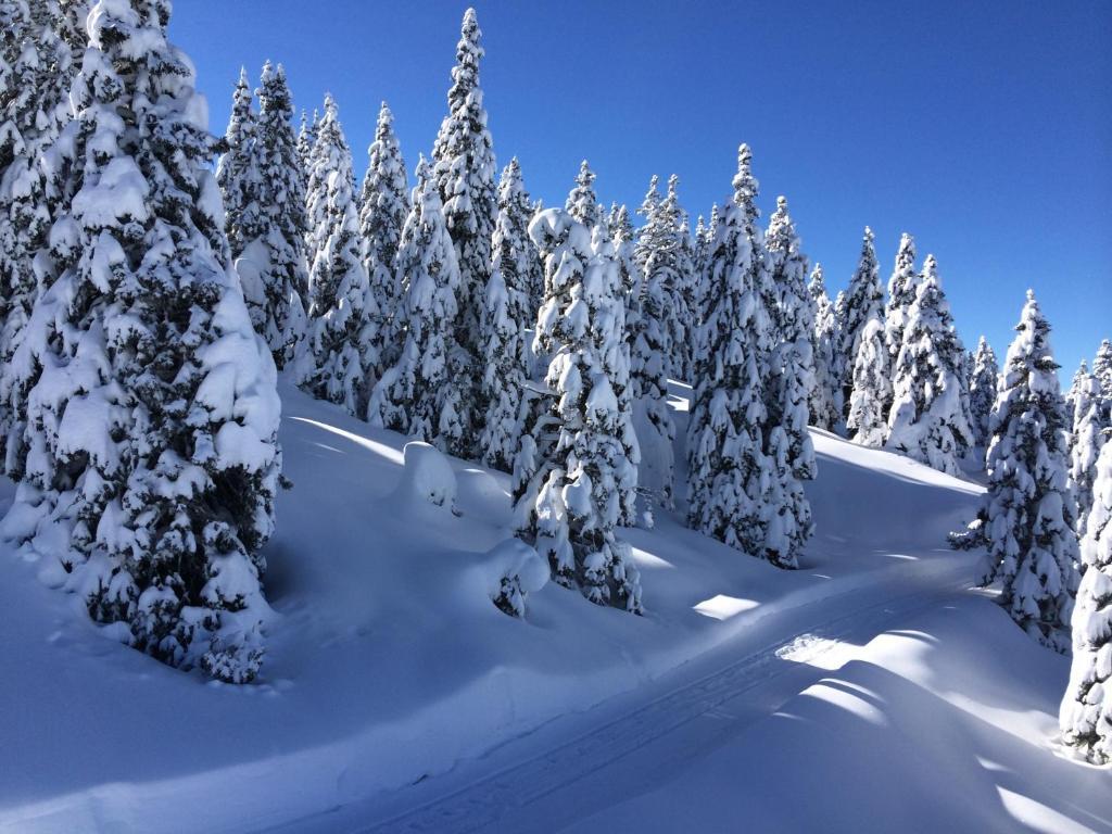 Hotel Regents — carbon neutral stay, Andalo