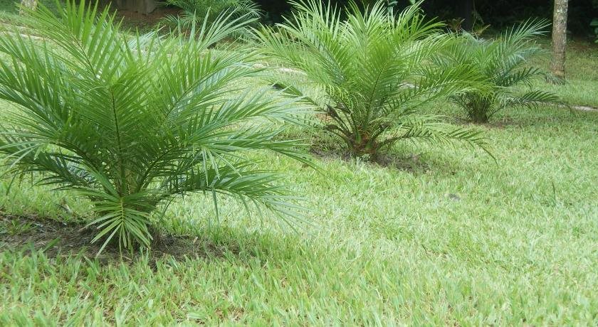 Pousada Bonani in Itanhandu, Brasil