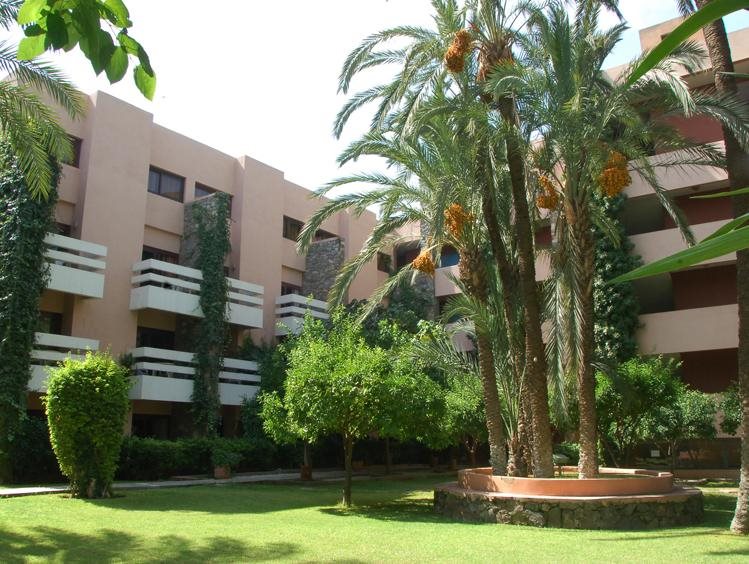 Amine - carbon neutral hotel in Marrakesh