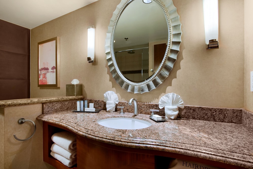 DoubleTree by Hilton Washington Dulles Airport - photo 21