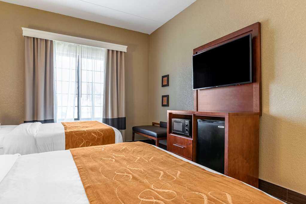 Comfort Suites Grand Rapids South - photo 30