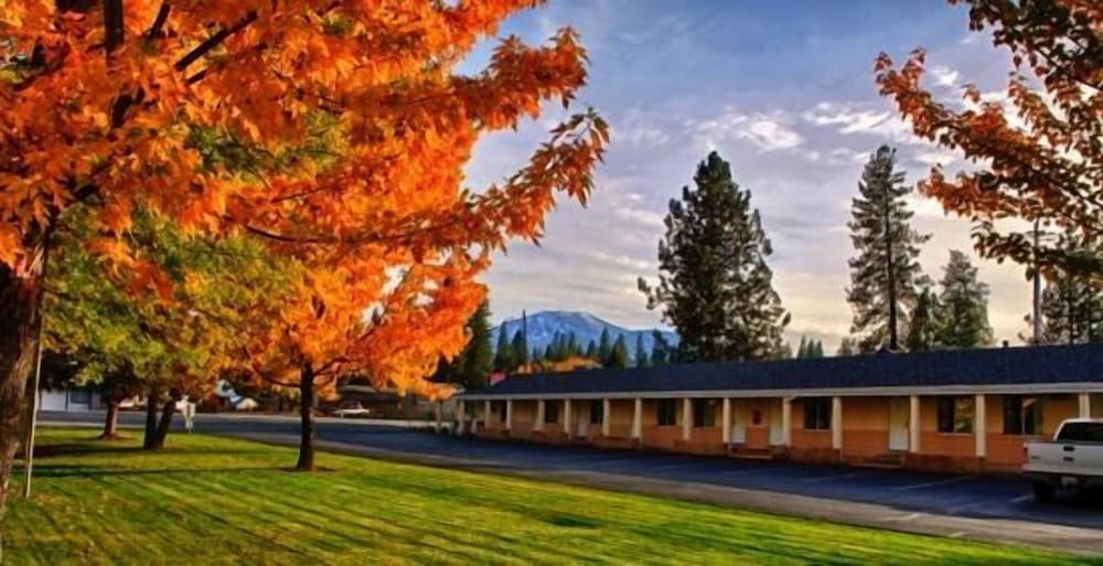 Shasta Pines Motel & Suites - photo 2