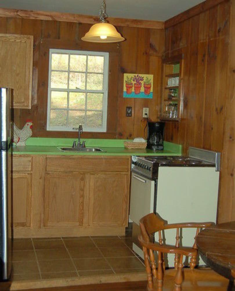 The Cabins at Healing Springs - photo 9