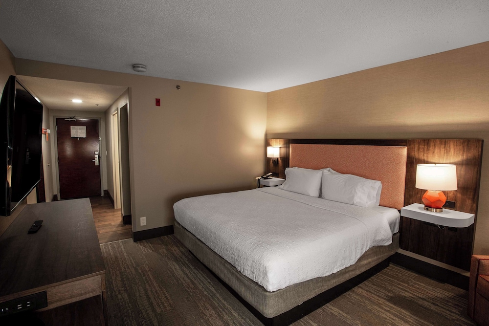 Hampton Inn Springfield - photo 5