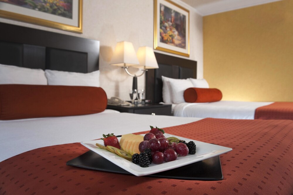 El Tropicano Riverwalk Hotel - photo 8