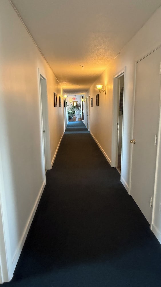 The Kenai Inn - photo 16