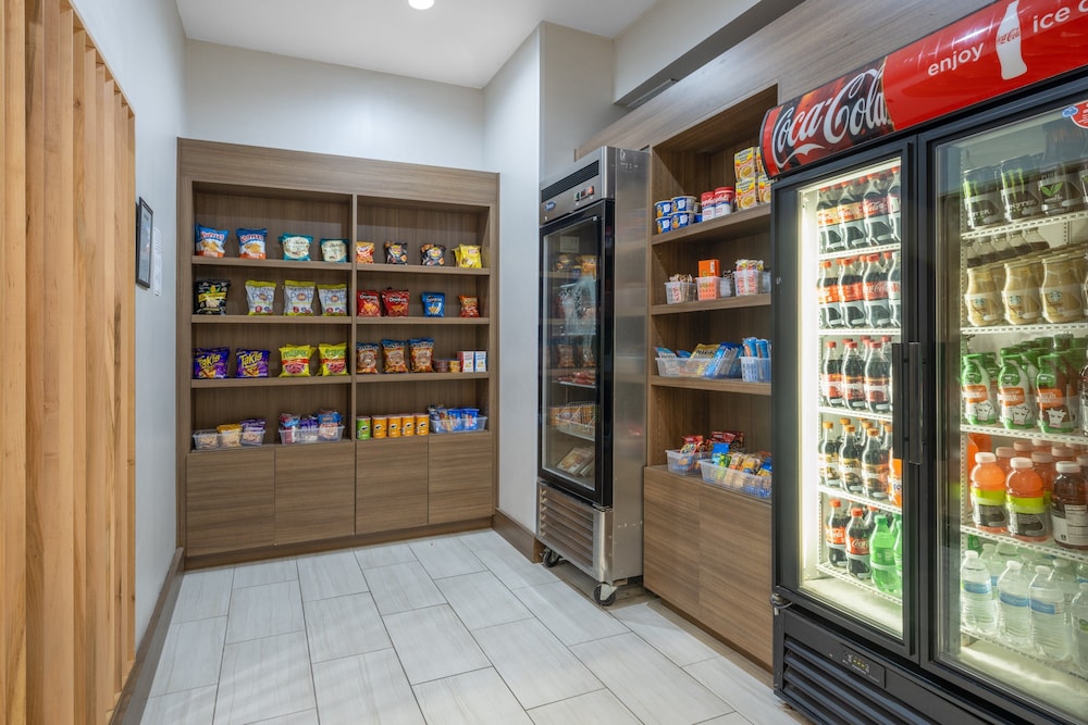 Holiday Inn Express & Suites Dallas East Fair Park by IHG - photo 21