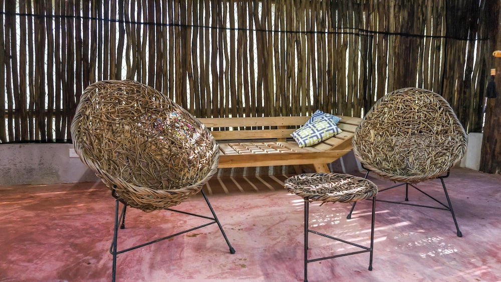 Jungla & Estrellas — Coba — photo 4