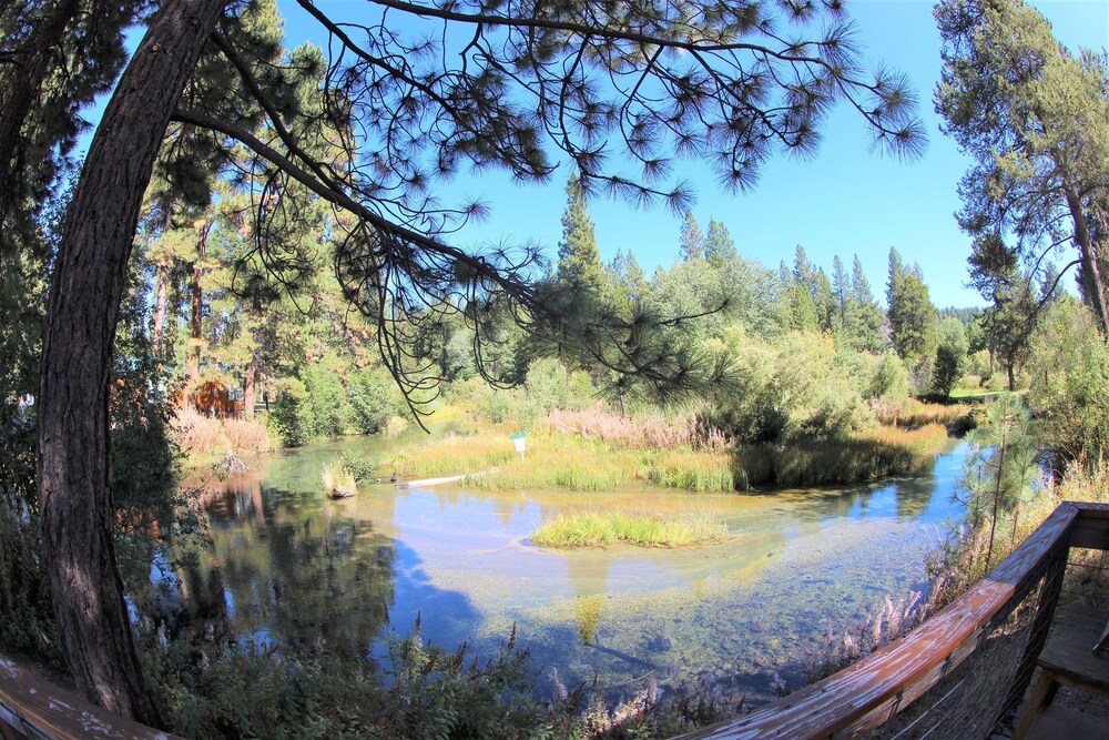 Crater Lake Resort - photo 115