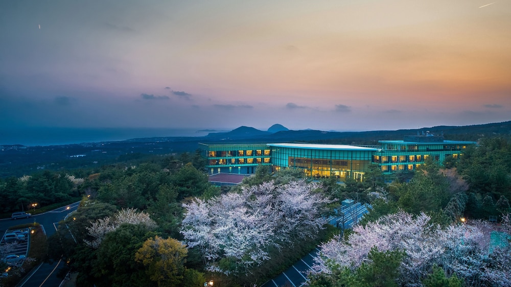 WE Hotel Jeju — 4-Star Luxury Hotel in Seogwipo, South Korea