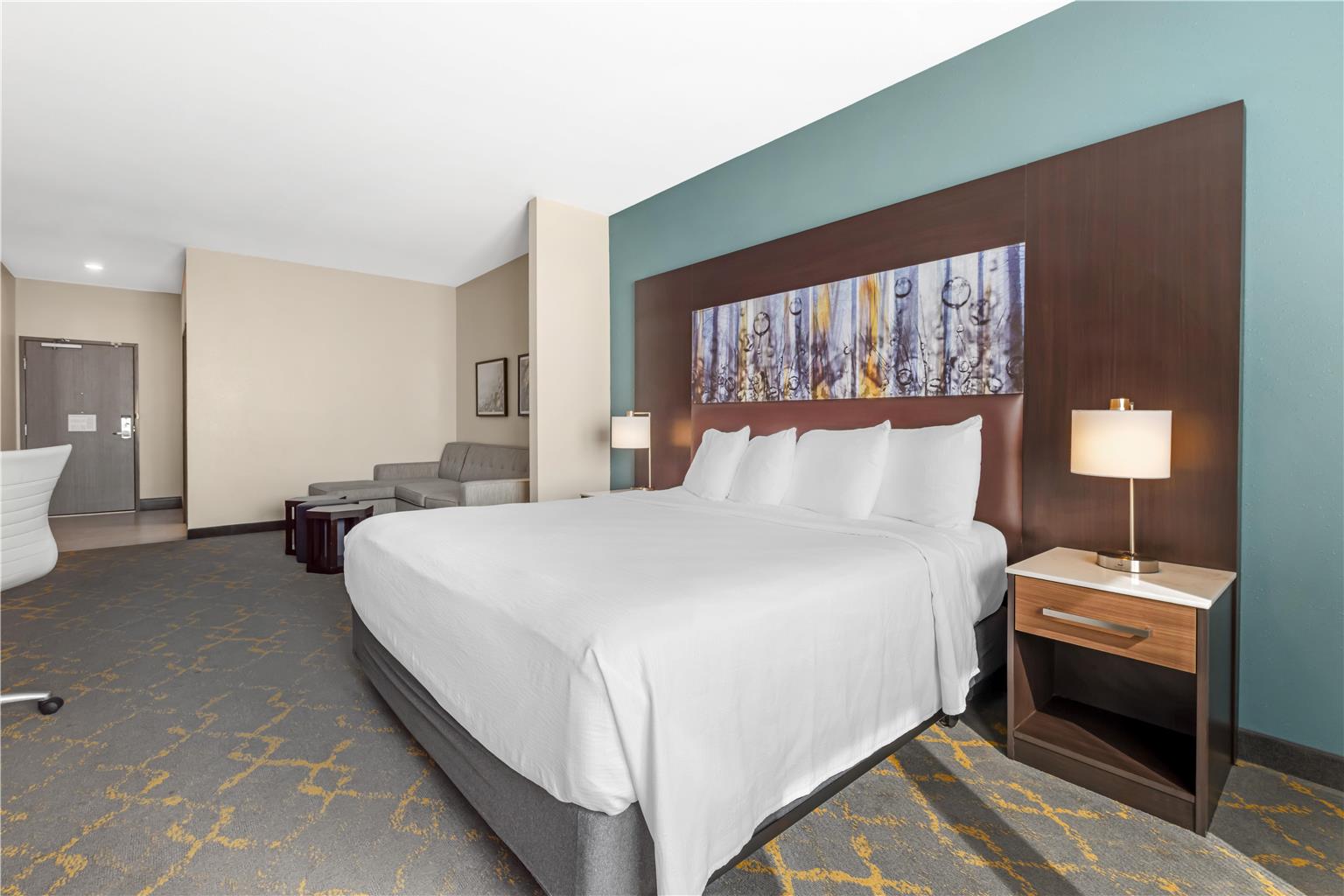 Best Western Plus Isanti - photo 30