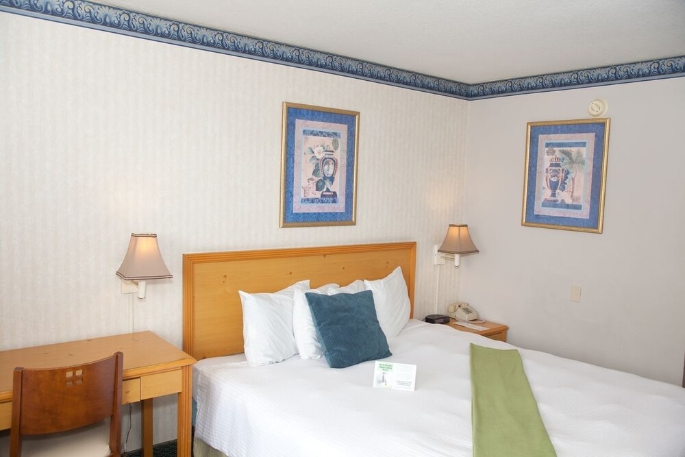 Bay Inn and Suites at Seaworld - photo 7
