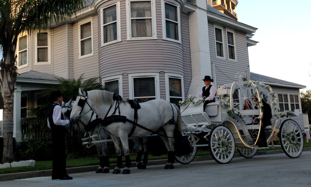 Parrish Grove Inn - photo 7