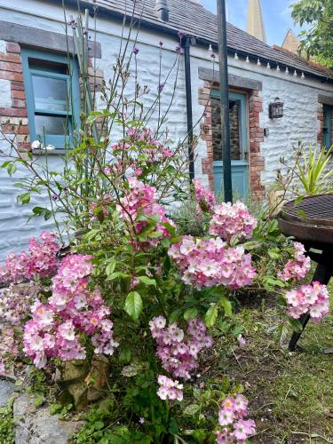 Neptunes Rest in St Austell, United Kingdom