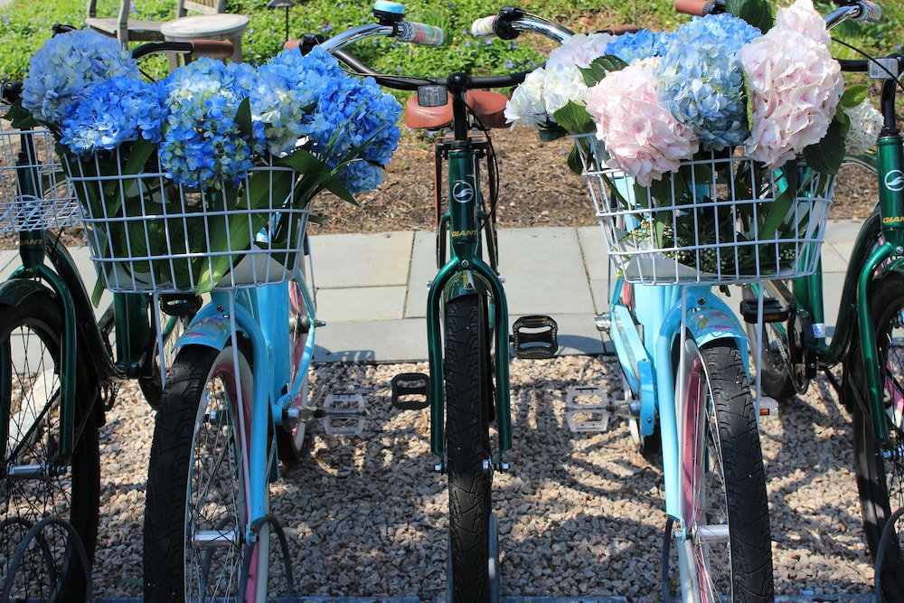 Saybrook Point Resort & Marina - photo 37