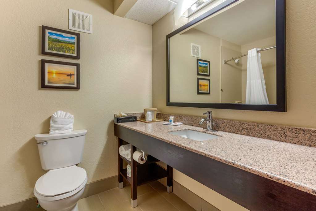 Comfort Inn Lenoir City Knoxville - photo 38