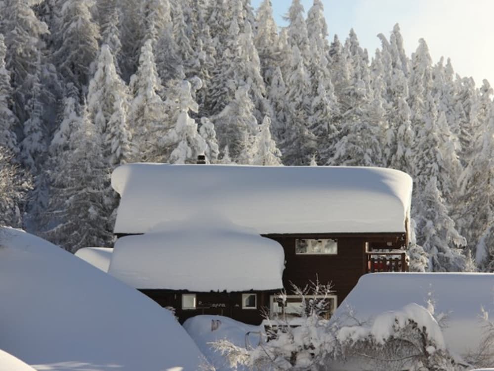 Rupicapra - carbon neutral hotel in Unknown City