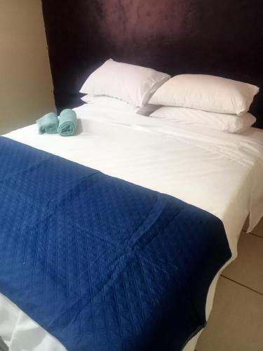 Queen Light - carbon neutral hotel in Pretoria