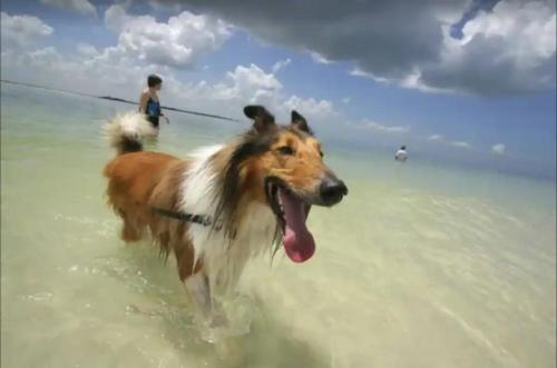 Kos Place in Blairgowrie by Ready Set Stay in Blairgowrie, Australia