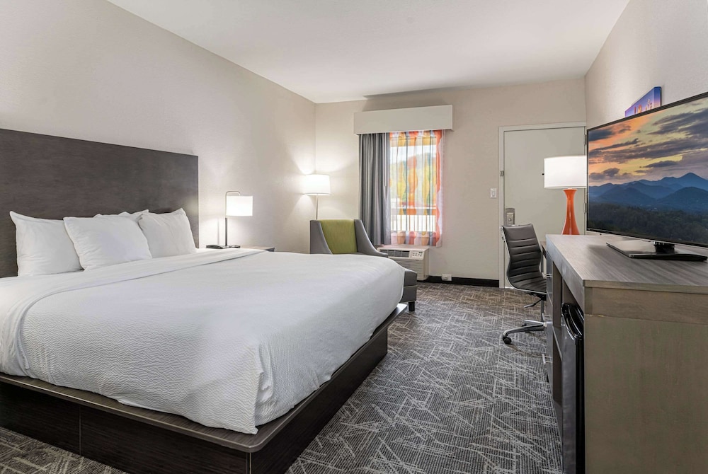 Quality Inn Asheville Downtown Tunnel Road - photo 15