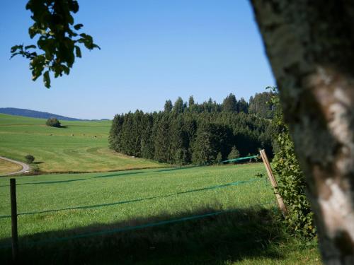 Feriengasthof Löwen — Breitnau — photo 3