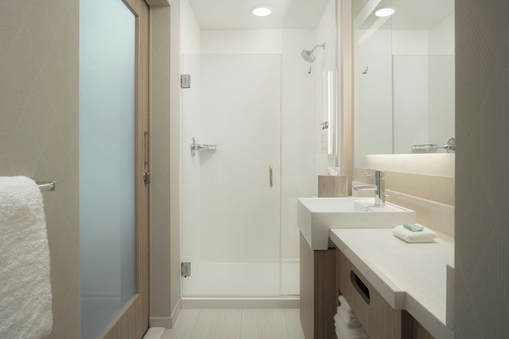 SpringHill Suites by Marriott Tampa Downtown - photo 22