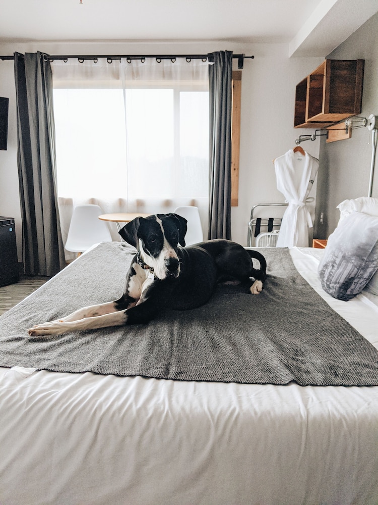 Adrift Hotel - photo 104