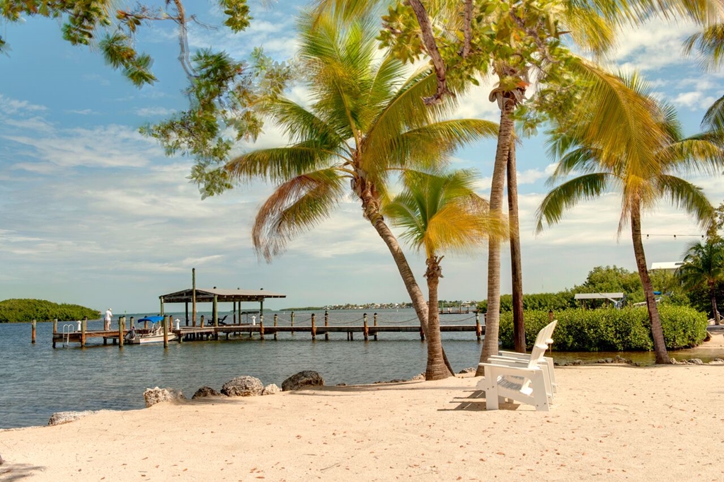 Coconut Palm Inn - photo 4