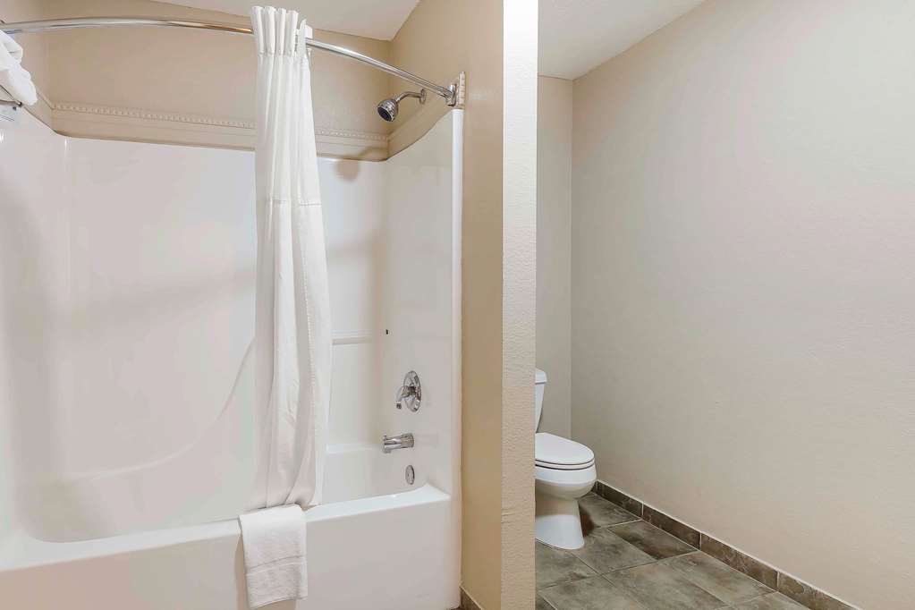Quality Inn & Suites Sevierville Pigeon Forge - photo 22