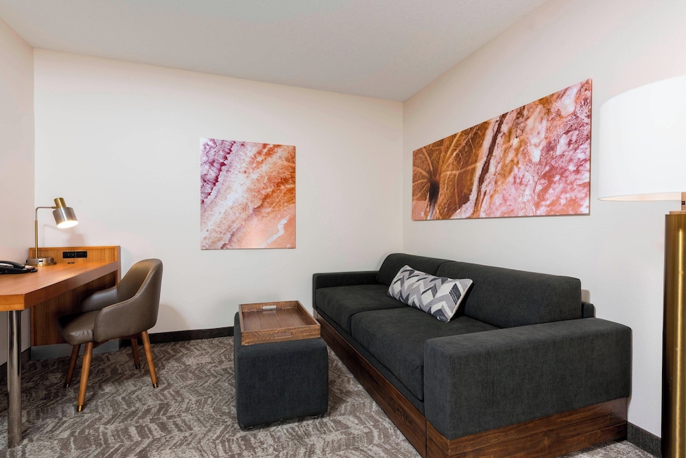 SpringHill Suites by Marriott Grand Rapids North - photo 10