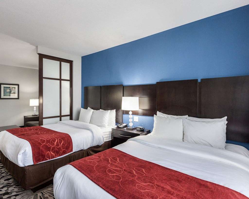 Comfort Suites Greenville - photo 18