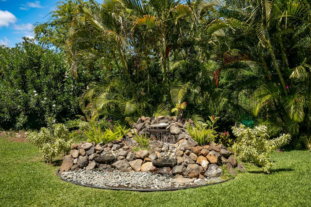 Aston at the Maui Banyan - photo 7