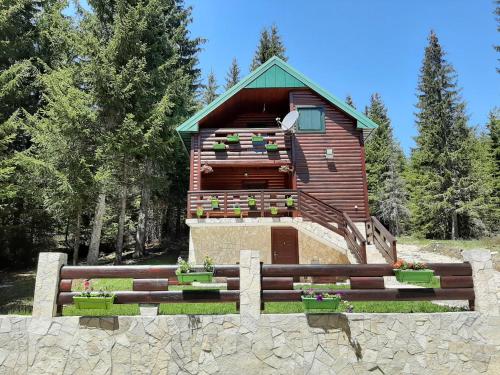 Tanjuška — Zabljak — photo 3