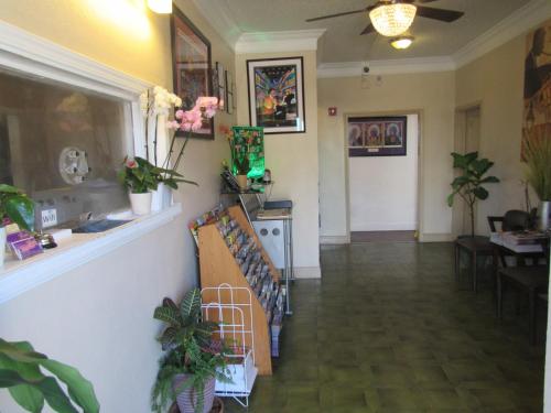 The Treme Hotel - featured photo