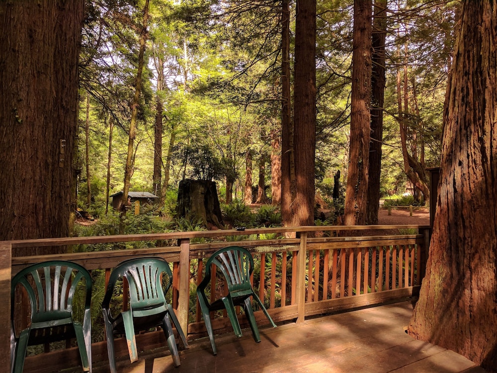 Emerald Forest Cabins - photo 148