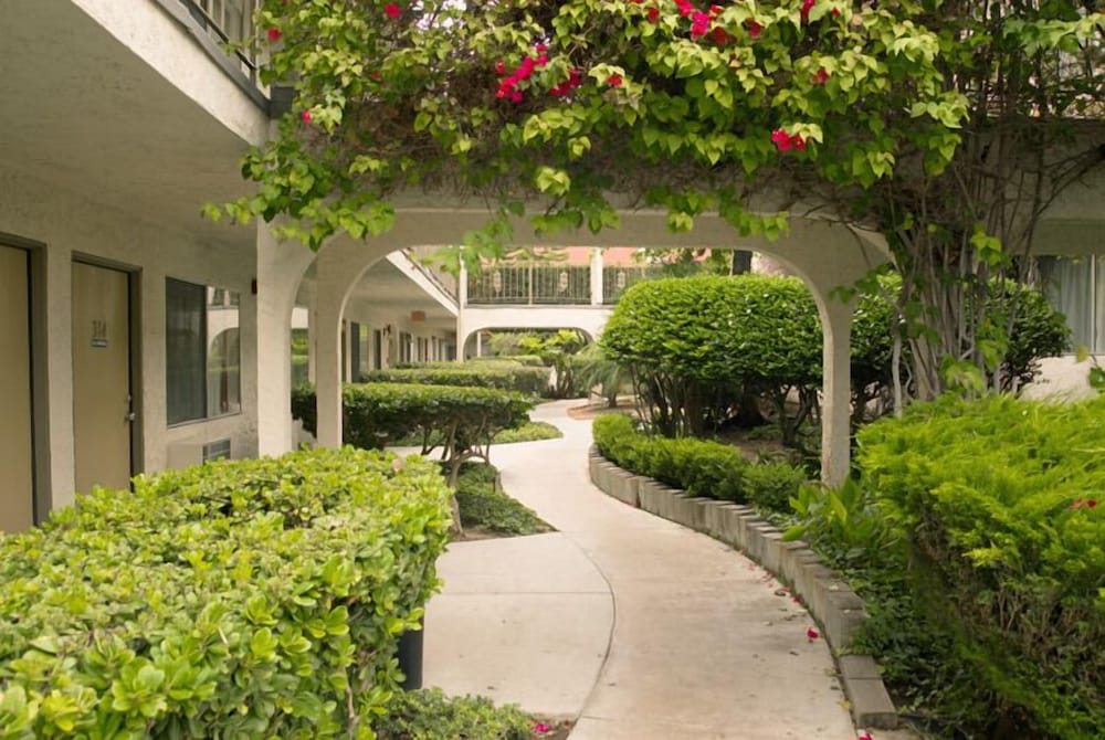 California Suites Hotel - photo 36
