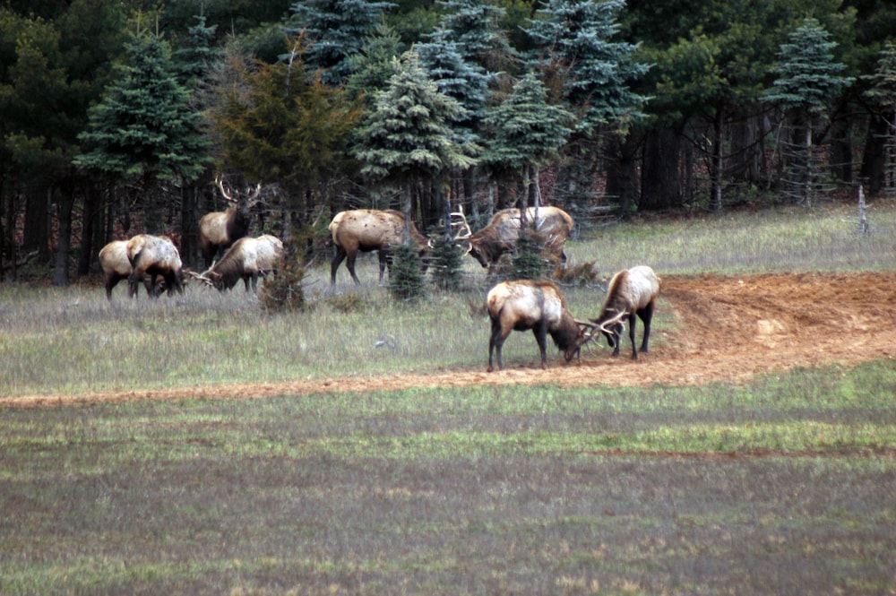 Edenwood Ranch Private SQ MILE - photo 20