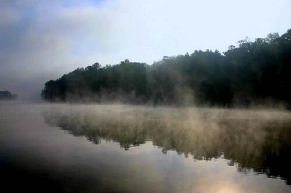 Edgewater Resort Cottage #1 - photo 214