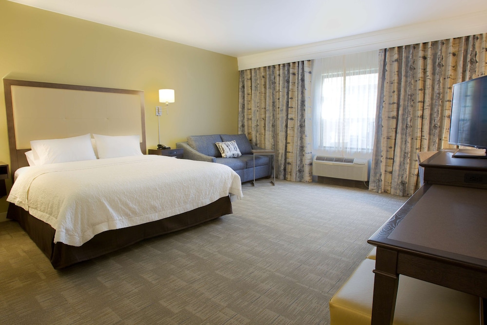 Hampton Inn & Suites Boise Nampa at the Idaho Center - photo 6