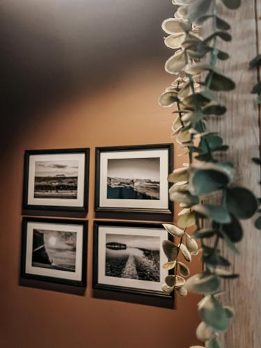 Guesthouse Reynir