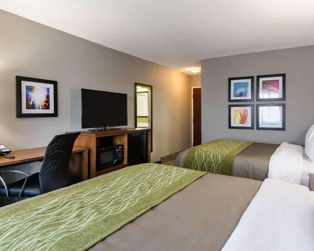 Quality Inn & Suites Ashland near Kings Dominion - photo 10