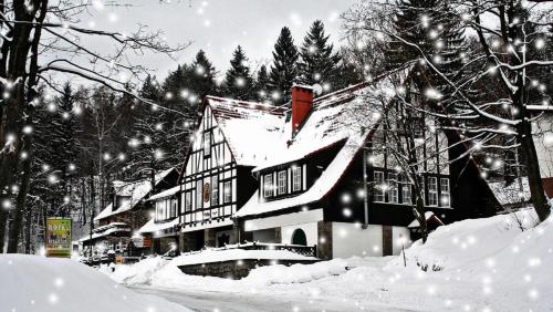Hotel Krasnoludki — Sosnowka