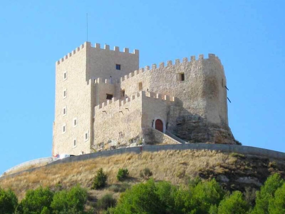 Castillo de Curiel — Curiel De Duero — photo 2