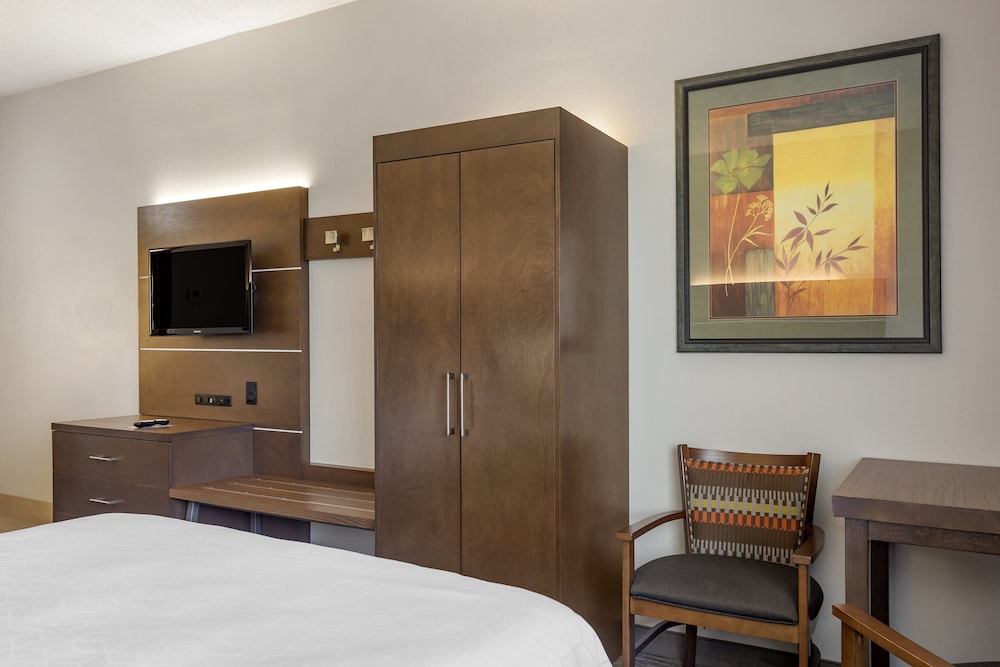 Holiday Inn Express Branson Green Mountain Drive by IHG - photo 10