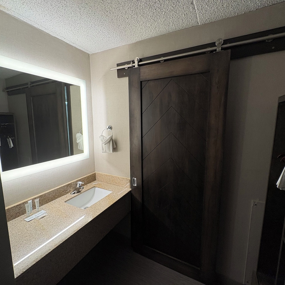 Bismarck Hotel and Conference Center - photo 21