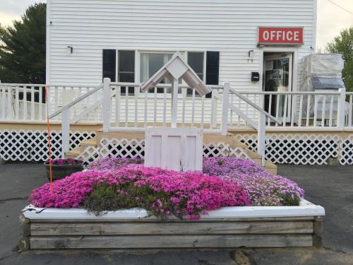 Knotty Pine Motel - photo 9