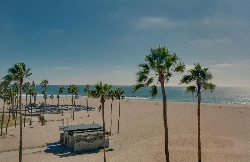 Venice Beach - photo 12